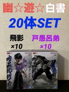 幽遊白書　暗黒武術会　飛影　黒龍波　戸愚呂弟100% 20体セット