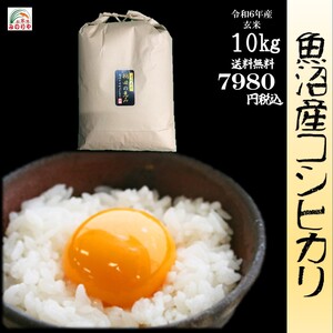 令和６年産 魚沼産コシヒカリ10kg うまい米 米専門 みのりや（玄米）ポイント消化 送料無料