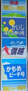 長野189系 信越リレー妙高号・かもめビーチ・みのり・はまかいじ