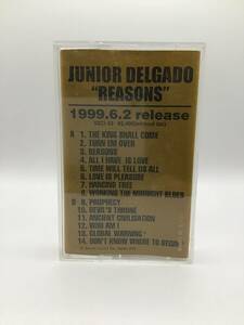 Junior Delgado - Reasons