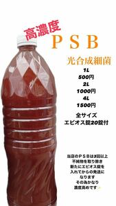 高濃度光合成細菌ＰＳＢメダカ 1L金魚 ゾウリムシ ミジンコ エサ 水質浄化