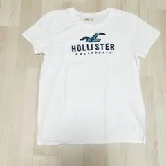 ホリスター　白Tシャツ