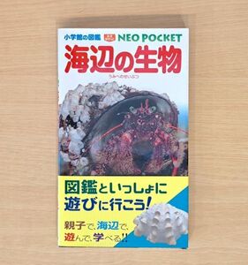 7251　海辺の生物　小学館の図鑑NEOポケット　ネオぽけっと　単行本　ソフトカバー