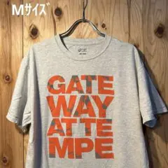 USA古着Tシャツ　Mサイズ PORT&company ホワイトグレー