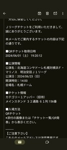 6/23札幌ドーム　コンサドーレ札幌vs横浜Fマリノスチケット2枚組