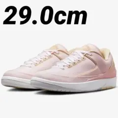 【極希少】AIR JORDAN 2 RETRO LOW "ATMOSPHERE"