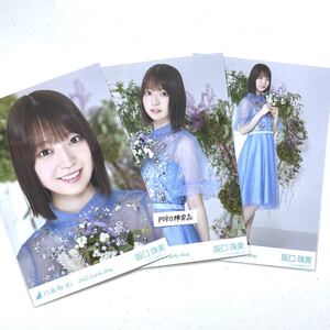 乃木坂46 公式グッズ 生写真 3枚 コンプ　阪口珠美　2020年 luckybag 福袋 限定品 ヨリチュウヒキ (カレンダー衣装 B