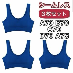 ノンワイヤー シームレス ブラジャー ブルー 青 Lサイズ ナイトブラ 3枚セット A70 B70 C70 D70 A75 シームレスブラ スポーツブラ 70d c70