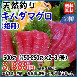 天然 ( キハダマグロ ) 150~250g×2~3柵＝450~500g 冷凍 料亭 寿司屋 ご用達 真空パック 送料無料 宇和海の幸問屋