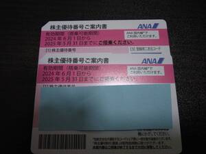 全日空 株主優待券 2枚セット 国内 航空券 搭乗期限2025年5月末まで　普通郵便送料無料