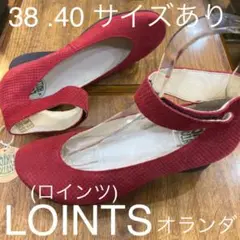 ロインツ (オランダ)18200 RED 38 新品定価¥35200