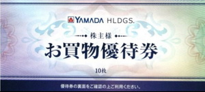ヤマダ電機　株主優待　5000円分　お買い物券★500円×10枚★株主優待券★2024年12月末日まで