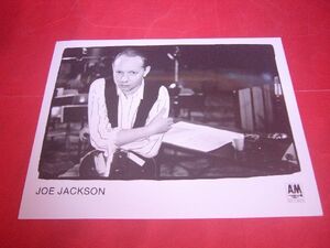 【稀少】公式プロモフォト 大判写真 ジョー・ジャクソン JOE JACKSON A＆M RECORDS OFFICIAL PROMO PHOTO