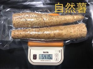 栃木県産自然薯 800g以上 真空パック