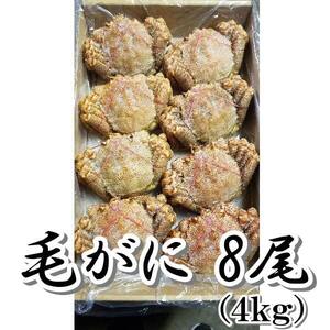 毛ガニ ８尾 （４kg） 新物 北海道産 1尾￥4,500～ 生食用 ボイル 身入り バッチリ 1折れ込み　発送休暇あり