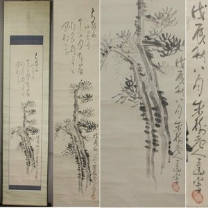 《源》【即決・送料無料】尾張藩・名古屋の俳人 井上士朗 松 画 自画讃句「今日の月」/箱付