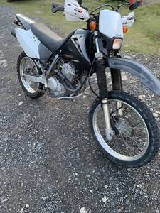 XR250 MD30 黒 エンジン実働 配達可能 下取可能