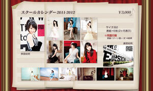 新品 ポスター 7枚 セット 水樹奈々 LIVE GRACE 2011 スクールポスター カレンダー 2011