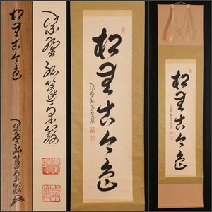 【模写】吉】9805 小堀卓巌 書「松無古今色」 共箱 孤逢庵 遠州流 臨済宗 大徳寺 愛知県 仏教 茶掛け 茶道具 禅語 掛軸 掛け軸 骨董品