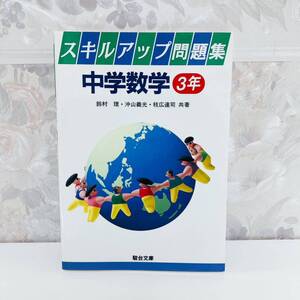 【絶版・超希少】 スキルアップ問題集 中学数学3年 鈴木理 渡辺健二 沖山義光 枝広達司 駿台文庫