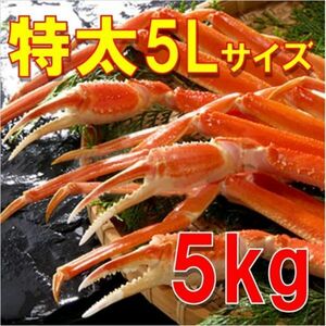 ★送料無料！船上凍結産地箱 極太５L 生ズワイガニ５kg（約12肩【かに カニ 蟹..v