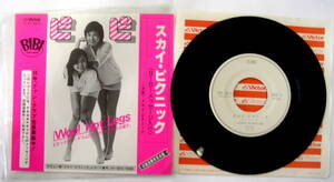 【レコード】 BIBI（ビビ）　『　スカイ・ピクニック　』参）SV-6573　店頭演奏用見本盤　メーッセージ入り　：デビュー　超レア？