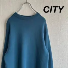 CITY シティ クルーネック ニット ペールカラー ブルー系