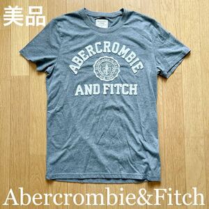 美品 Abercrombie&Fitch アバクロンビー&フィッチ グレー Tシャツ サイズS