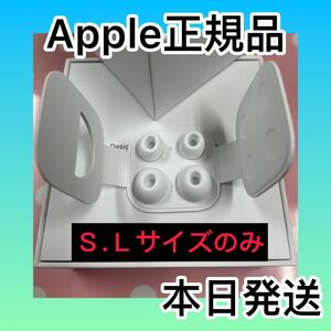 管理z8 AirPods Pro 第1世代 Apple イヤーピース　イヤーチップ　正規品