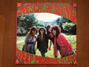 傷なし美盤 メスカリン・ドライブ Mescaline Drive 1988年 LPレコード ディープ・モーニング・グロウ Deep Morning Glow 国内盤