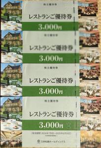 ＊送料無料　三井松島　レストラン優待券 3,000円×４枚＝12,000円分