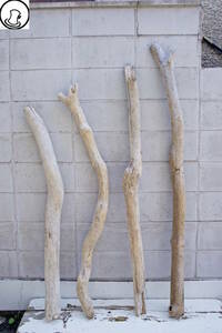 SEASIDEinterior☆太め流木の4本セット,Cool driftwood for decorating 78