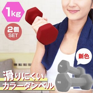 【2個セット/ダークグレー】滑りにくい カラー ダンベル 1kg 筋トレ エクササイズ 宅トレ シンプル ウエイトトレーニング ダイエット 新品