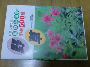 野草　 自然の中で楽しむ里野林海岸の野草500種 2012年　平野隆久