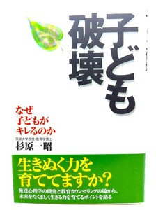 子ども破壊 : なぜ子どもがキレるのか/杉原一昭 著/立風書房