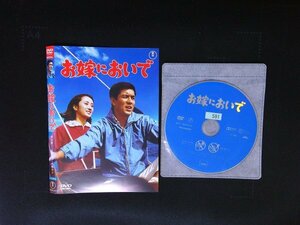 お嫁においで　DVD　加山雄三　内藤洋子　即決　送料200円　816