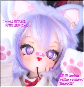 *B-3D**DDH-01カスタムヘッド：[★Lilac*Point★]+舌パーツ+Eye3P&小物オマケ*:MDD等に♪