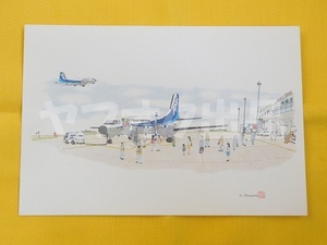 YS-11 エアーニッポン 丘珠空港 ANK ポストカード 絵はがき 絵葉書 Postcard エアライングッズ 飛行機 航空