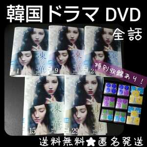 【韓国ドラマ】DVD★『凍える華』(全話)★レンタル落ち★イ・ユリ