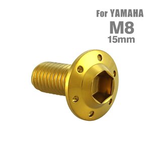 M8×15mm P1.25 ブレーキディスク ローター ボルト ホールヘッドH-1 ステンレス ヤマハ車用 YAMAHA ゴールド カスタム 1個 TD0009