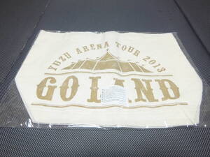 ★ゆず YUZU GO LAND アリーナツアー 2013 トートバッグ新品, 未開封 未使用★