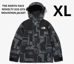 THE NORTH FACE GTX MOUNTAIN JACKET XL