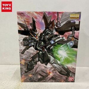 1円〜 MG 1/100 機動戦士ガンダムSEED C.E.73 STARGAZER ストライクノワールガンダム