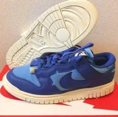 NIKE AIR DUNK JUMBO 27cm DV0821-400 ナイキ