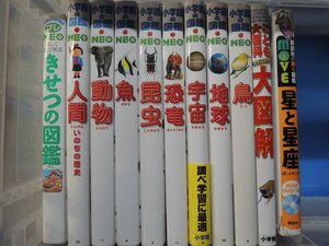 【図鑑】《まとめて11点セット》小学館の図鑑NEO 人間・動物・昆虫・恐竜・地球・鳥・宇宙 他 ※ディスクなし