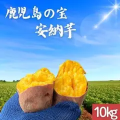 【熟成】鹿児島産 訳あり 安納芋 10kg さつまいも 紅はるか好きに61