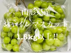 【ご家庭用、訳あり】3房〜1.5kg以上‼︎山形県産シャインマスカット