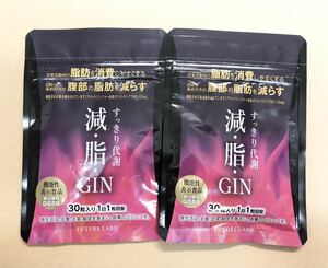 [傷アリ][送料無料] 新品未開封 すっきり代謝 減脂GIN 減・脂・GIN 30日分 30粒 ×2袋 期限2026.1 [即決]