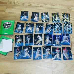 プロ野球チップス2006 ラッキーカード 交換品 箔押し サインカード インサートカードスペシャルエディション VOL.2