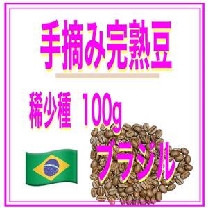 自家焙煎珈琲　手摘み完熟豆　100ｇ　送料無料